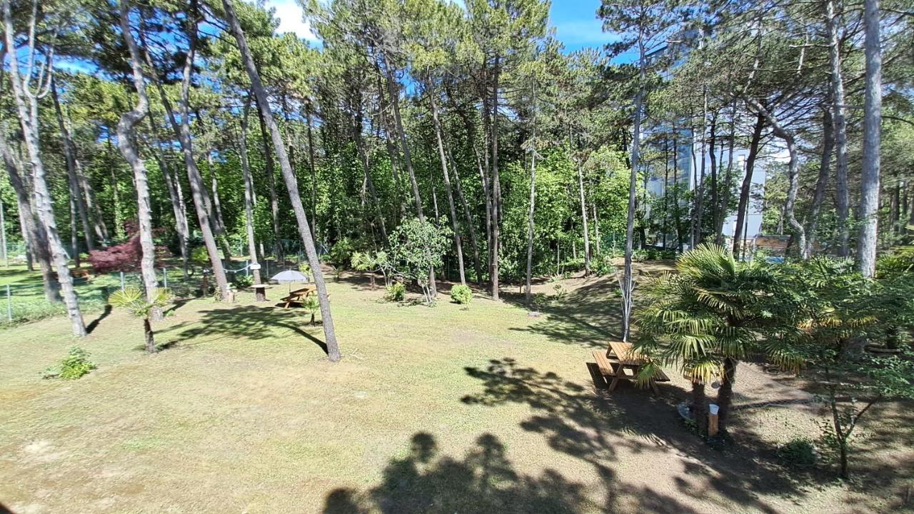 Villa Barbara Fra I Pini リニャーノ・サッビアドーロ エクステリア 写真